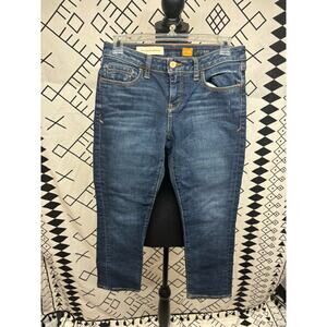 Anthropologie Pilcro and Needlepress Jeans